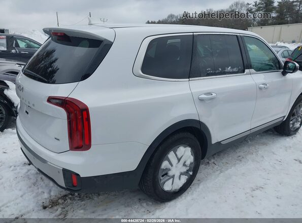 5XYP2DGC8RG510832 2024 KIA TELLURIDE White Задня права чверть