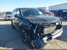 2024 Kia Telluride Ex Black vin: 5XYP34GC7RG486276