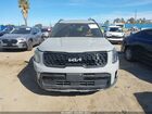 2024 Kia Telluride Ex X-line Gray vin: 5XYP3DGC0RG518680
