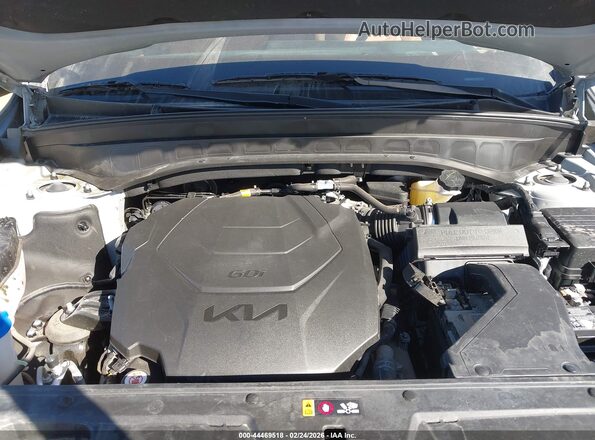 5XYP3DGC0RG518680 2024 KIA TELLURIDE Gray Widok z tyłu