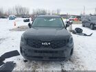 2022 Kia Telluride Ex Black vin: 5XYP3DHC7NG299645