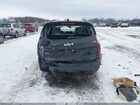 2022 Kia Telluride Ex Black vin: 5XYP3DHC7NG299645