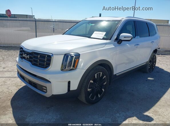 5XYP54GC0PG355293 2023 KIA TELLURIDE White Przód lewy