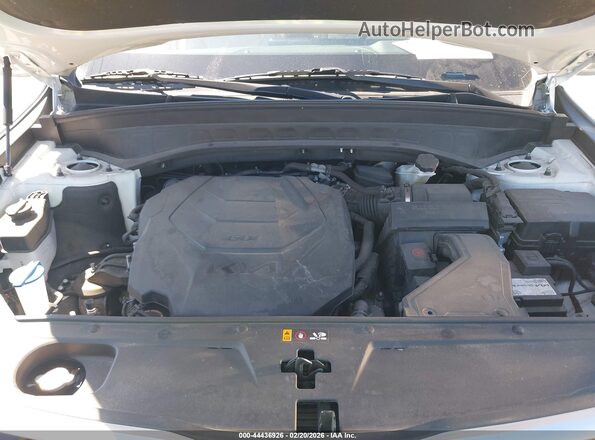 5XYP54GC0PG355293 2023 KIA TELLURIDE White Widok z tyłu