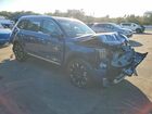 2024 Kia Telluride Sx Синий vin: 5XYP54GC4RG544502