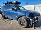 2024 Kia Telluride Sx Blue vin: 5XYP5DGC1RG421983