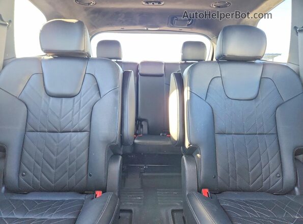 5XYP5DGC1RG421983 2024 KIA TELLURIDE Blue Widok tylnych siedzeń