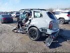 2024 Kia Telluride Sx Prestige X-line Gray vin: 5XYP5DGC2RG556454
