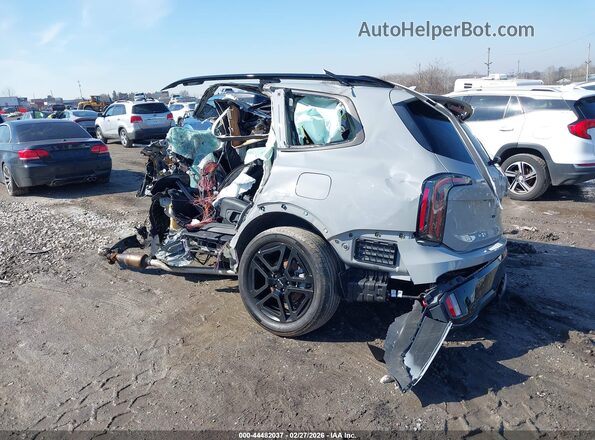 5XYP5DGC2RG556454 2024 KIA TELLURIDE Gray Задня ліва чверть