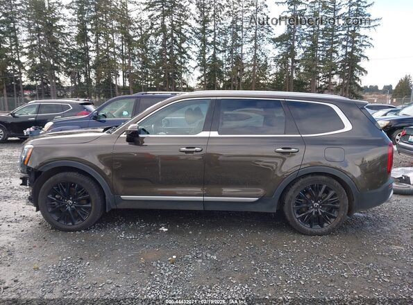5XYP5DHC8MG108582 2021 KIA TELLURIDE Коричневый 