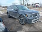 2024 Kia Telluride S Gray vin: 5XYP6DGC6RG508453