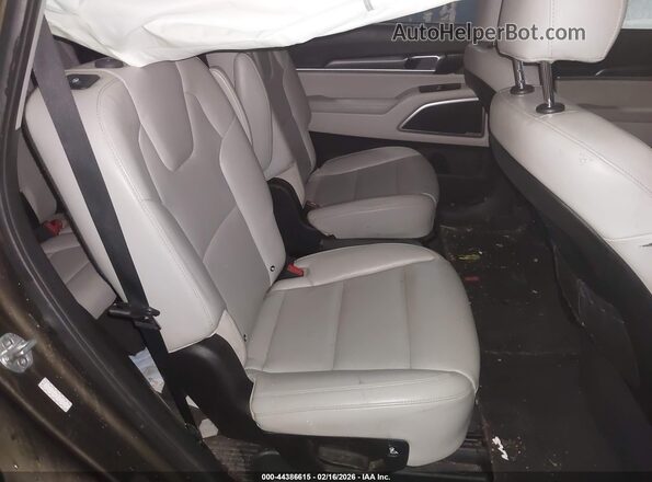 5XYP6DHC3LG095798 2020 KIA TELLURIDE Коричневый Вид наклейки с VIN-кодом