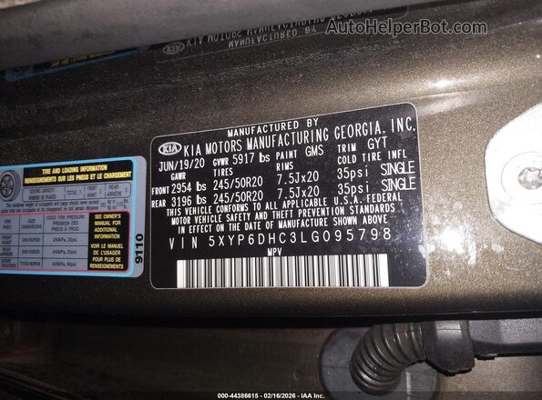 5XYP6DHC3LG095798 2020 KIA TELLURIDE Коричневый Вид подкапотного пространства