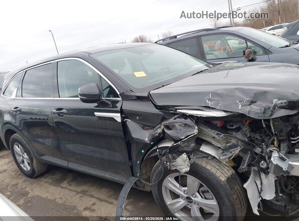 5XYRG4JC8TG414659 2026 KIA SORENTO Черный Вид задней части салона