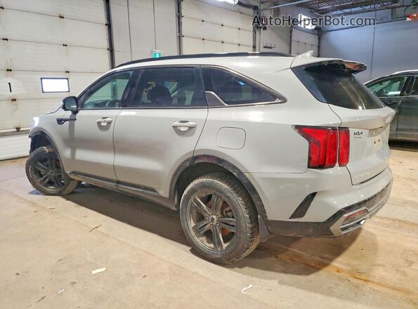 5XYRKDLF4PG194173 2023 KIA SORENTO Серый Задняя левая четверть