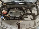 2022 Kia Sorento S Black vin: 5XYRLDLC0NG130759