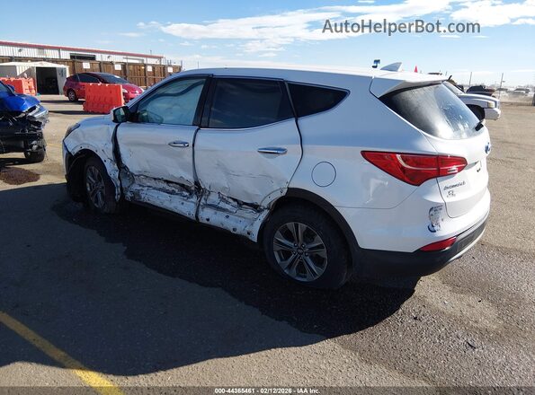 5XYZTDLB9GG319100 2016 HYUNDAI SANTA FE SPORT Белый Задняя левая четверть