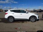 2016 Hyundai Santa Fe Sport 2.4l Белый vin: 5XYZTDLB9GG319100