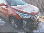 2017 Hyundai Santa Fe Sport 2.4l Orange vin: 5XYZUDLB6HG465212