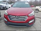 2016 Hyundai Santa Fe Sport 2.4l Красный vin: 5XYZUDLBXGG314548