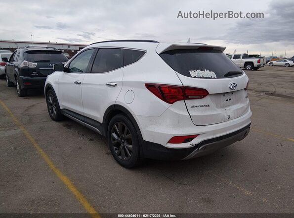 5XYZWDLA4HG473455 2017 HYUNDAI SANTA FE White Tył lewy