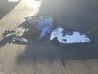 2021 Tesla Model 3 White vin: 5YJ3E1EA5MF027496