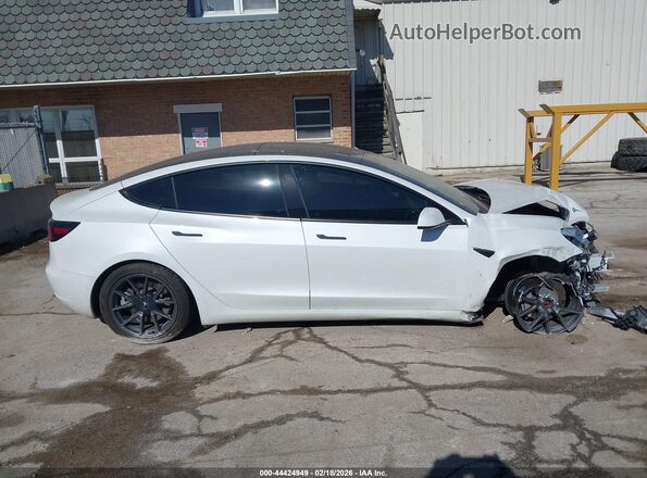 5YJ3E1EB2MF983446 2021 TESLA MODEL 3 White Widok wnętrza z tyłu