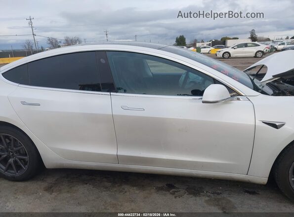 5YJ3E1EB8LF637433 2020 TESLA MODEL 3 Белый Вид задней части салона