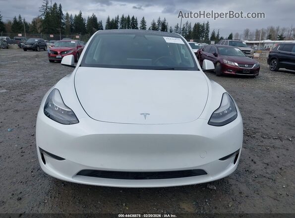 5YJYGDEE2LF041729 2020 TESLA MODEL Y White Սալոնի հետևի տեսք
