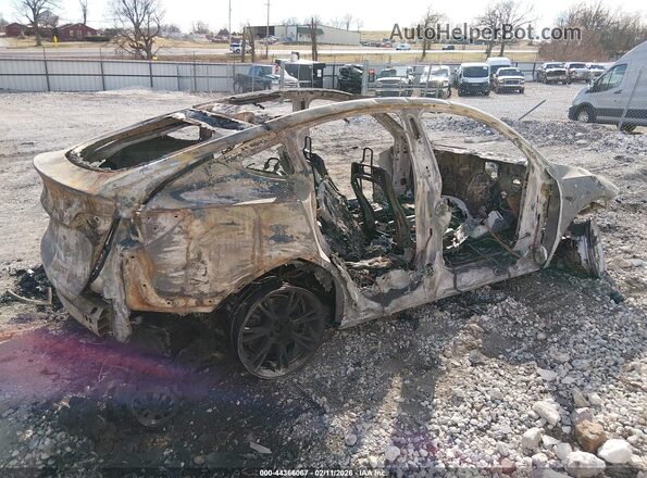 5YJYGDEE3MF075339 2021 TESLA MODEL Y Black Задня права чверть