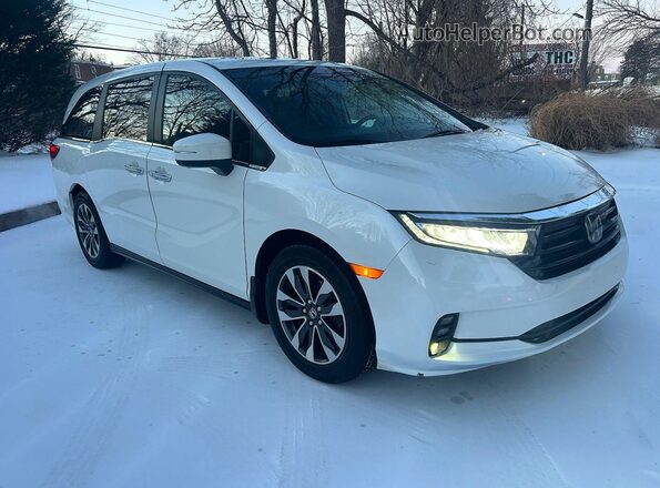 5FNRL6H71NB023976 2022 HONDA ODYSSEY White უკანა მარცხენა