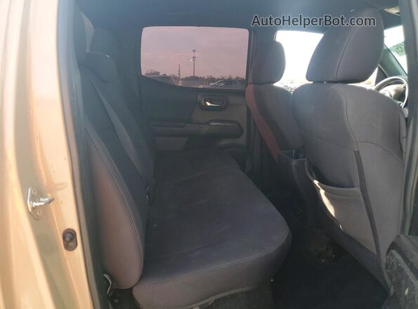 3TMCZ5ANXKM198077 2019 TOYOTA LE Золотой Вид задней части салона