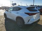 2022 Lexus Nx 350 Белый vin: 2T2GGCEZXNC004892