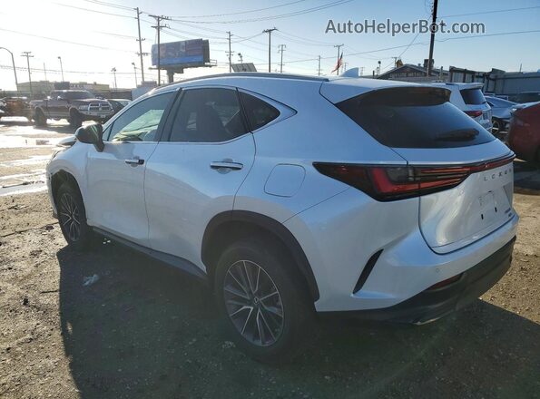 2T2GGCEZXNC004892 2022 LEXUS NX Белый Задняя правая четверть