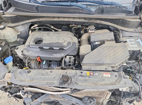 KNDPM3AC6L7736823 2020 KIA SPORTAGE Gray VIN კოდის სტიკერის ხედი