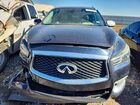 2019 Infiniti Qx60 Luxe Blue vin: 5N1DL0MN8KC548212