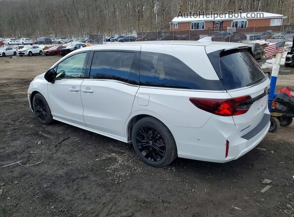 5FNRL6H78SB052080 2025 HONDA ODYSSEY White Tył prawy