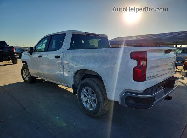 2GCPAAED7P1148559 2023 CHEVROLET SILVERADO Белый Задняя правая четверть
