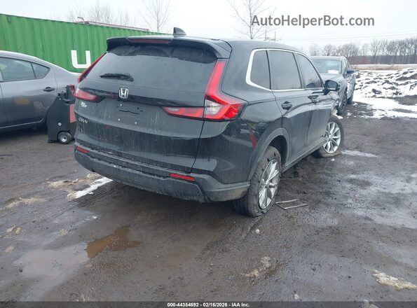 7FARS4H7XRE018552 2024 HONDA CR-V Black Tył prawy