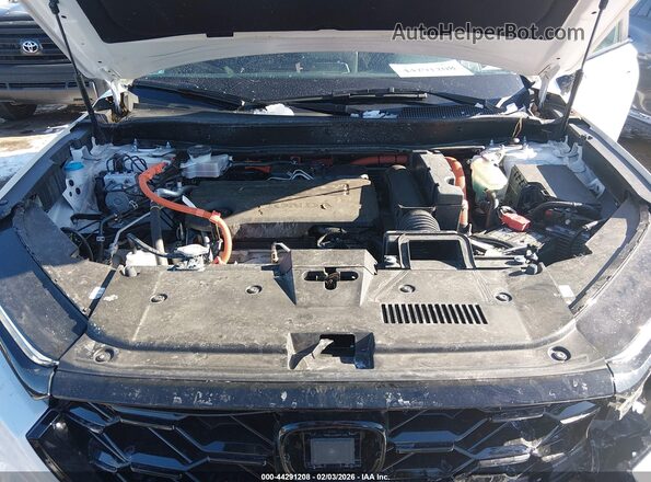 7FARS6H51TE018408 2026 HONDA CR-V HYBRID Белый Вид сзади
