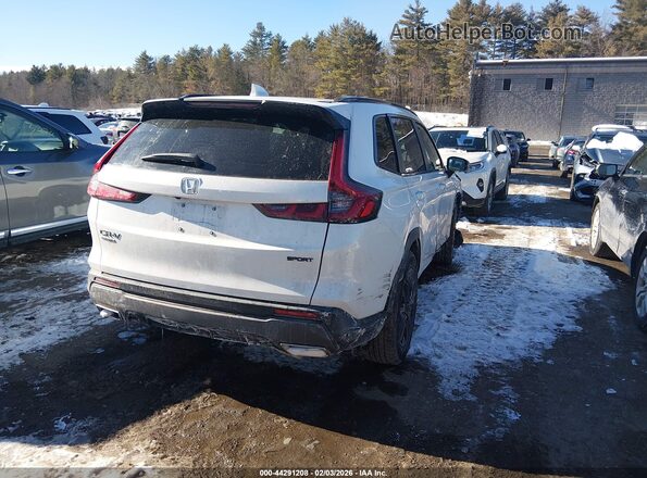 7FARS6H51TE018408 2026 HONDA CR-V HYBRID Белый Задняя правая четверть
