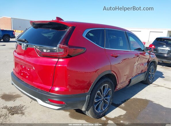 7FARW1H81NE010071 2022 HONDA CR-V Бордовый Задняя правая четверть