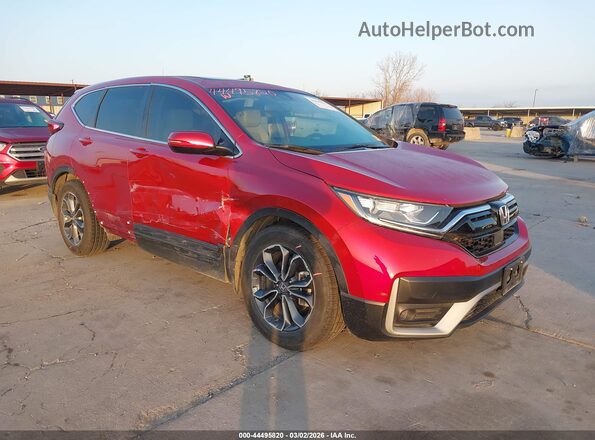 7FARW1H81NE010071 2022 HONDA CR-V Бордовый Передняя правая четверть