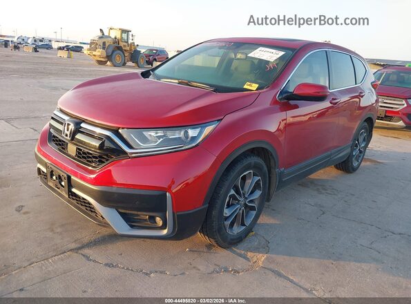 7FARW1H81NE010071 2022 HONDA CR-V Бордовый Передняя левая четверть