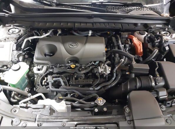 7MMVAADW6SN108622 2025 MAZDA CX-50 HYBRID Серый Вид сзади