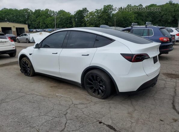 7SAYGDED1RF094232 2024 TESLA MODEL White Հետևի ձախ