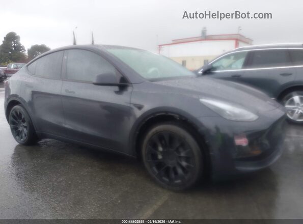 7SAYGDED5SF221182 2025 TESLA MODEL Y Gray Widok wnętrza z tyłu