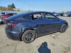 2024 Tesla Model Y Gray vin: 7SAYGDED6RF103183