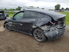 2025 Tesla Model Y Black vin: 7SAYGDED8SF247954