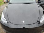 2025 Tesla Model Y Black vin: 7SAYGDED8SF247954